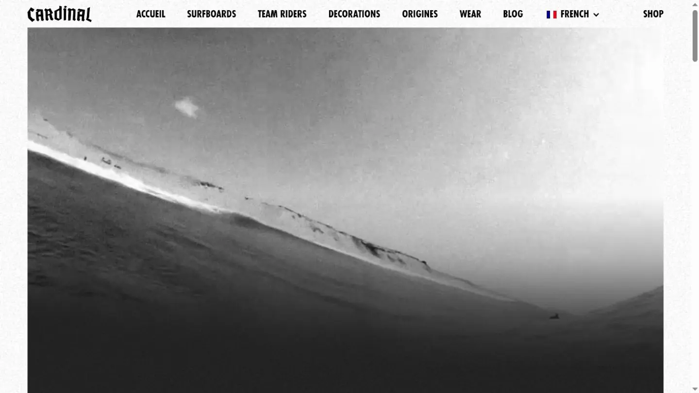 Page d’accueil de Cardinal Surfboards